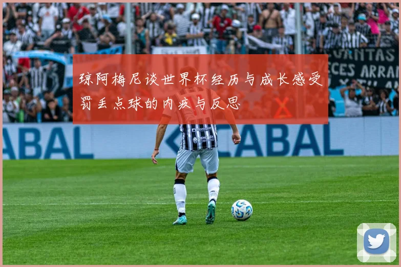 琼阿梅尼谈世界杯经历与成长感受罚丢点球的内疚与反思