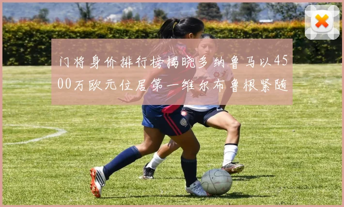 门将身价排行榜揭晓多纳鲁马以4500万欧元位居第一维尔布鲁根紧随其后